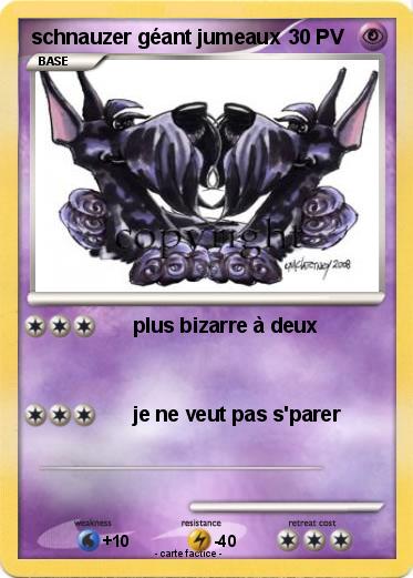 Pokemon schnauzer géant jumeaux