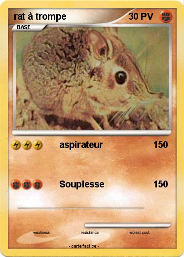 Pokemon rat à trompe