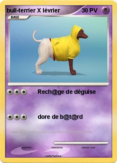 Pokemon bull-terrier X lévrier