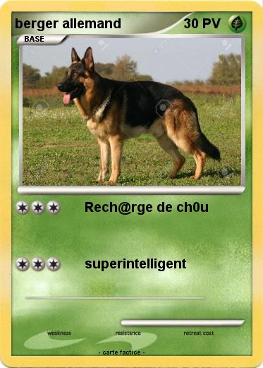 Pokemon berger allemand