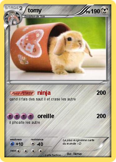 Pokemon tomy