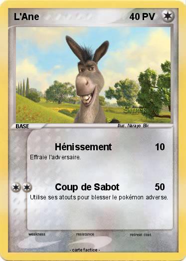 Pokemon L'Ane