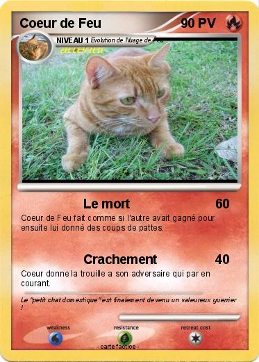 Pokemon Coeur de Feu