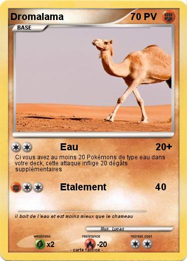 Pokemon Dromalama