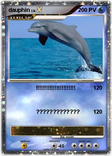 Pokemon dauphin