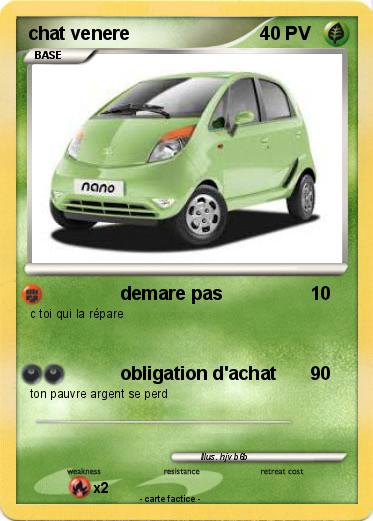 Pokemon chat venere