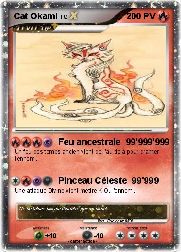 Pokemon Cat Okami