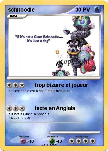Pokemon schnoodle
