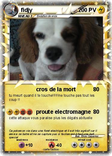 Pokemon fidjy