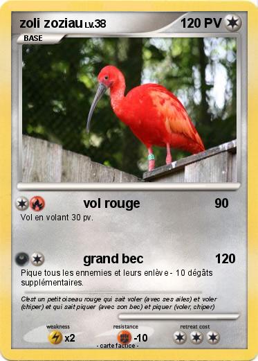 Pokemon zoli zoziau