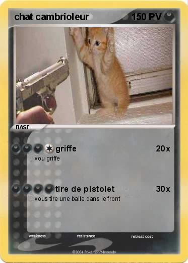 Pokemon chat cambrioleur