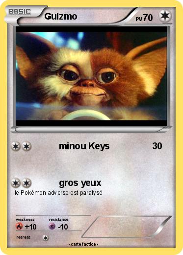 Pokemon Guizmo