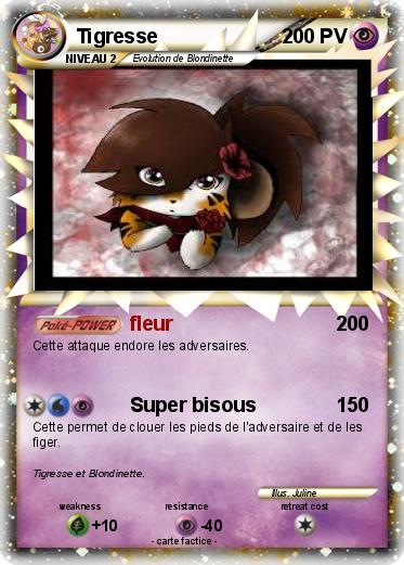 Pokemon Tigresse
