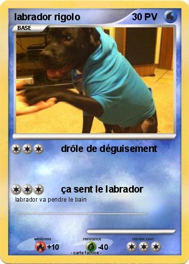 Pokemon labrador rigolo