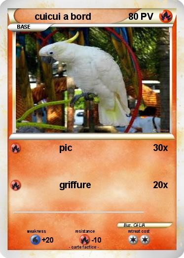 Pokemon cuicui a bord