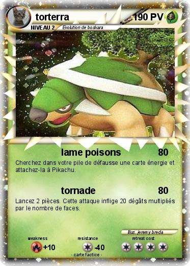Pokemon torterra