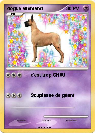 Pokemon dogue allemand
