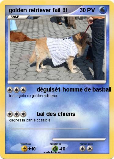 Pokemon golden retriever fail !!!