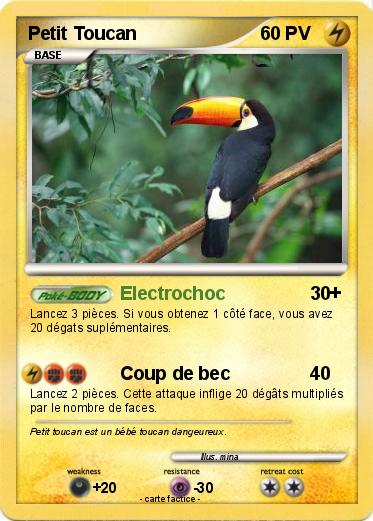 Pokemon Petit Toucan