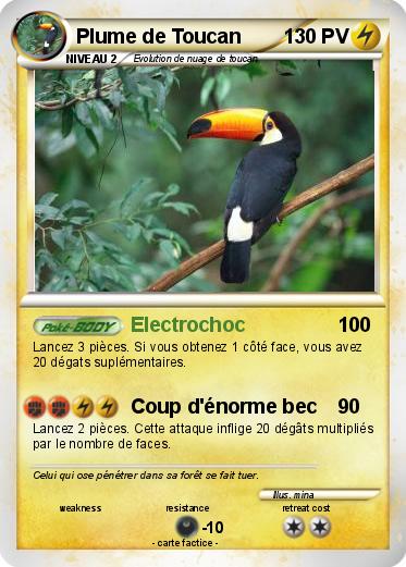 Pokemon Plume de Toucan