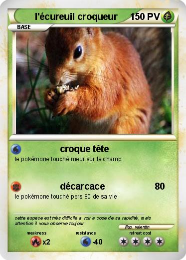 Pokemon l'écureuil croqueur