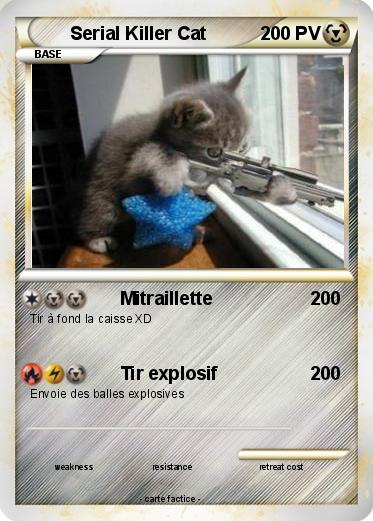 Pokemon Serial Killer Cat