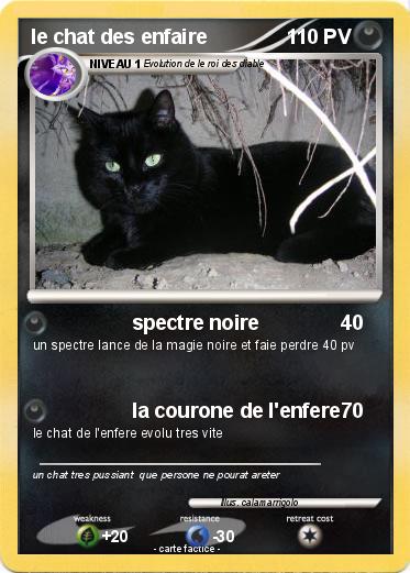 Pokemon le chat des enfaire