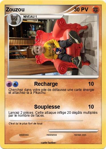 Pokemon Zouzou