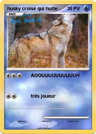 Pokemon husky croisé qui hurle