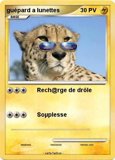 Pokemon guépard a lunettes
