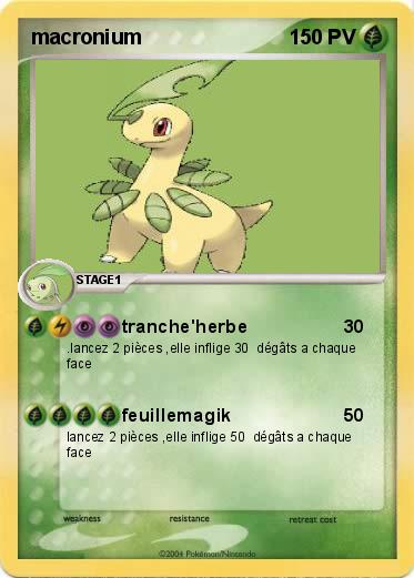 Pokemon macronium