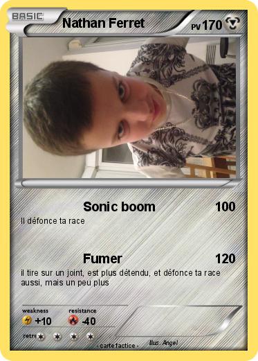 Pokemon Nathan Ferret