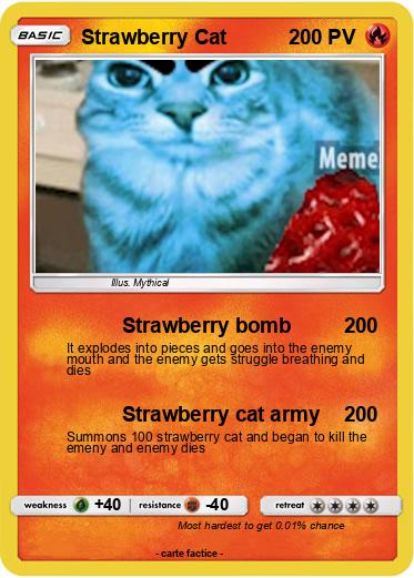 Pokemon Strawberry Cat