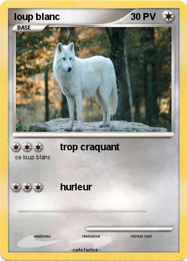 Pokemon loup blanc
