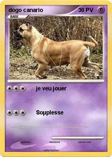 Pokemon dogo canario