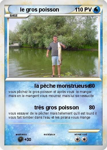 Pokemon le gros poisson