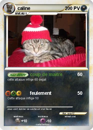 Pokemon caline