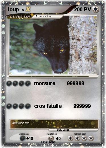 Pokemon loup