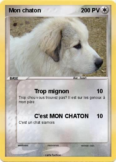 Pokemon Mon chaton