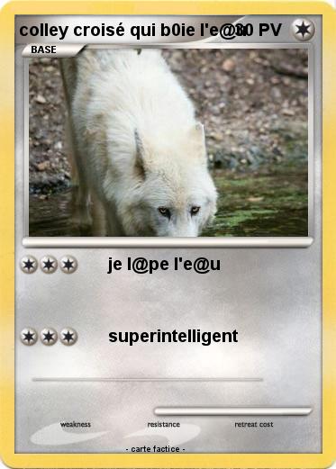 Pokemon colley croisé qui b0ie l'e@u