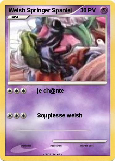 Pokemon Welsh Springer Spaniel