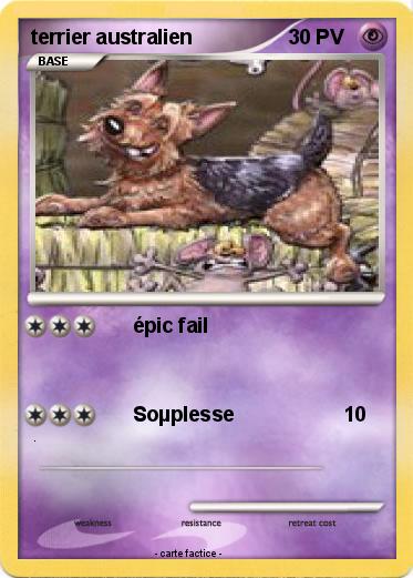 Pokemon terrier australien