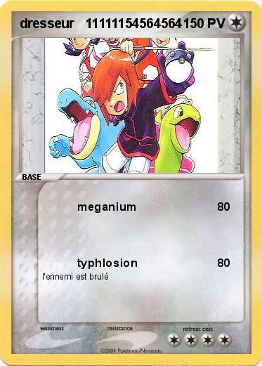 Pokemon dresseur   11111154564564