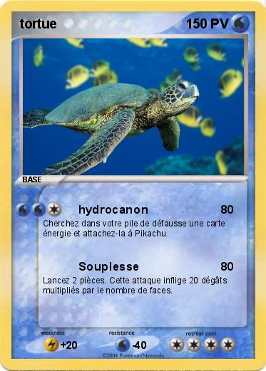 Pokemon tortue