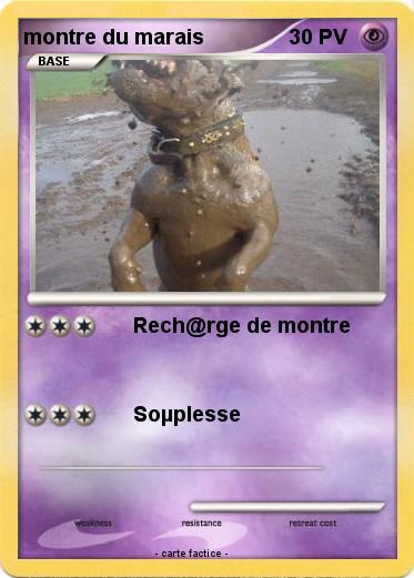 Pokemon montre du marais