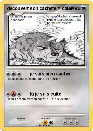 Pokemon decouvert son cachete = chien cuite