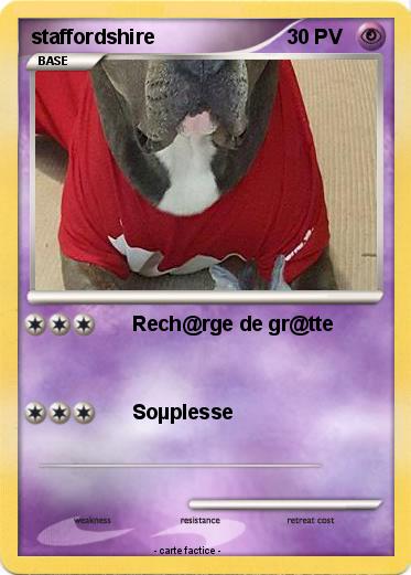 Pokemon staffordshire