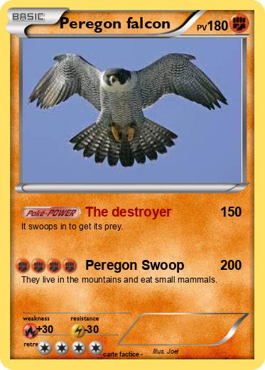 Pokemon Peregon falcon
