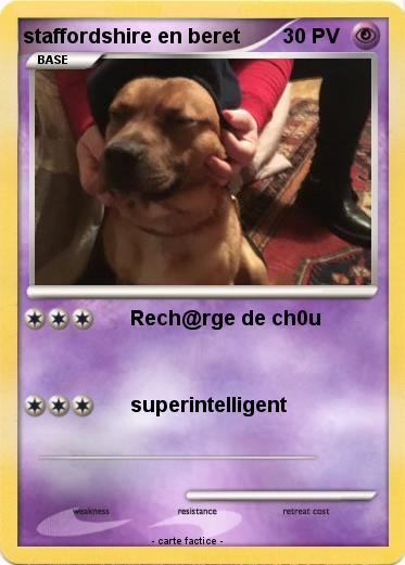 Pokemon staffordshire en beret