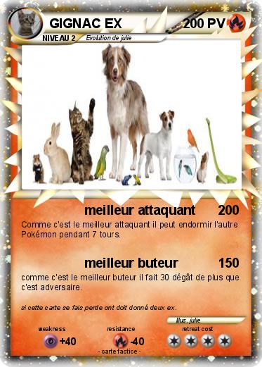 Pokemon GIGNAC EX